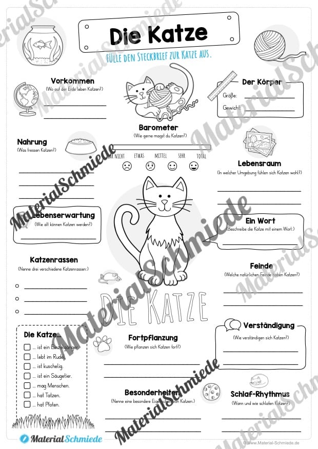 Steckbrief Katze (Vorschau)