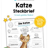 Steckbrief Katze