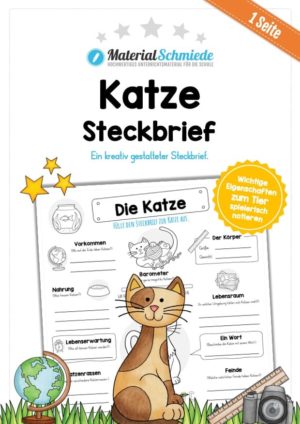 Steckbrief Katze