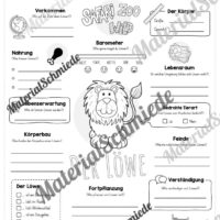 Steckbrief Löwe (Vorschau)