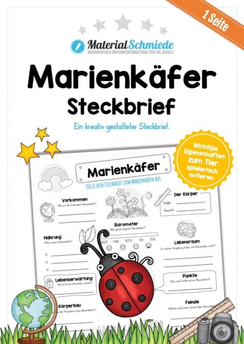 Steckbrief Marienkäfer