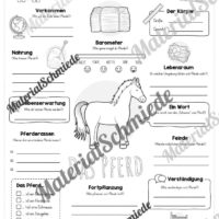Steckbrief Pferd (Vorschau)