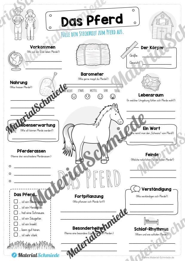 Steckbrief Pferd (Vorschau)