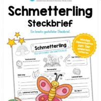 Steckbrief Schmetterling
