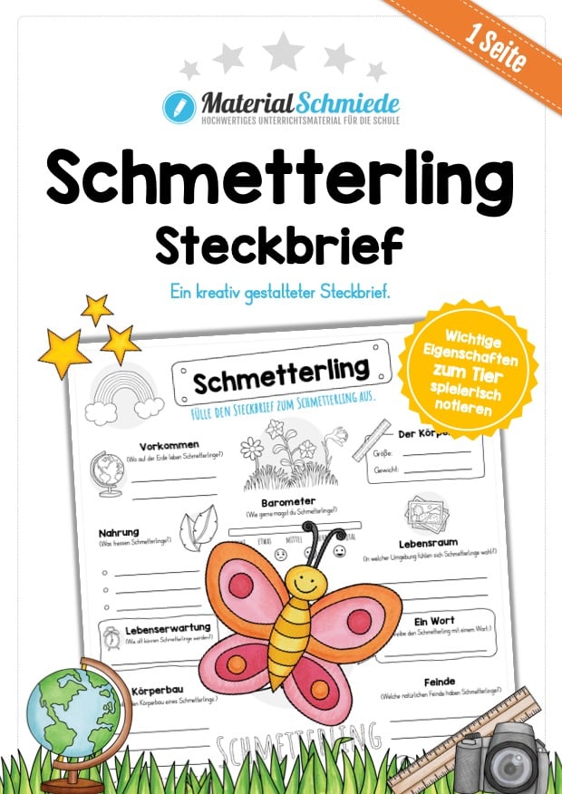 Steckbrief Schmetterling