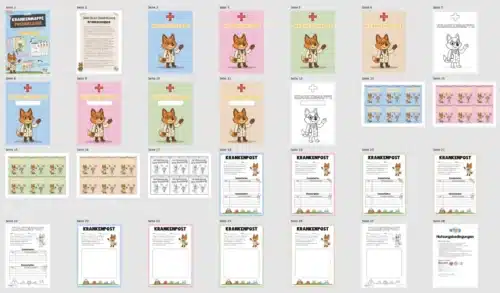 Krankenmappe für die Fuchsklasse (Überblick)