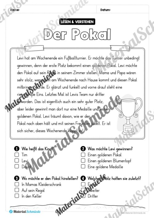 Lesen & Verstehen (Ankreuzen): Fußball EM 2024 - Vorschau 03