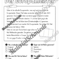 Lesen & Verstehen (Ankreuzen): Fußball EM 2024 - Vorschau 04