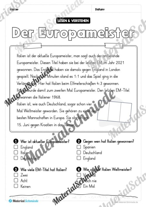 Lesen & Verstehen (Ankreuzen): Fußball EM 2024 - Vorschau 04