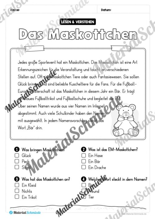 Lesen & Verstehen (Ankreuzen): Fußball EM 2024 - Vorschau 07