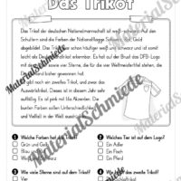 Lesen & Verstehen (Ankreuzen): Fußball EM 2024 - Vorschau 08