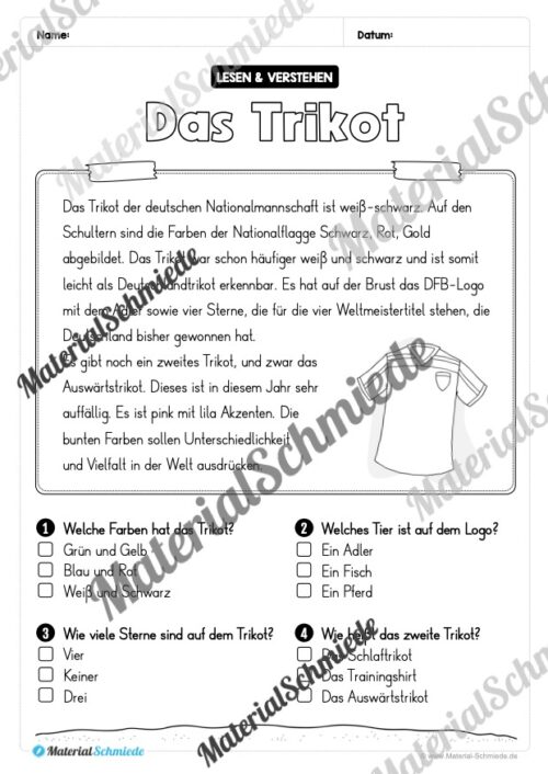 Lesen & Verstehen (Ankreuzen): Fußball EM 2024 - Vorschau 08