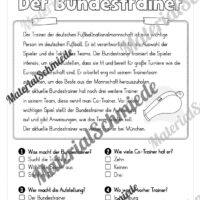 Lesen & Verstehen (Ankreuzen): Fußball EM 2024 - Vorschau 10