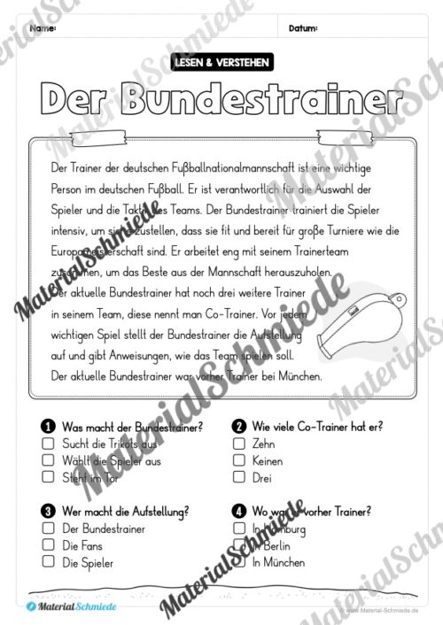 Lesen & Verstehen (Ankreuzen): Fußball EM 2024 - Vorschau 10