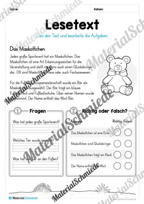 10 Lesetexte zur Fußball EM 2024 (mit Aufgaben) - Vorschau 03