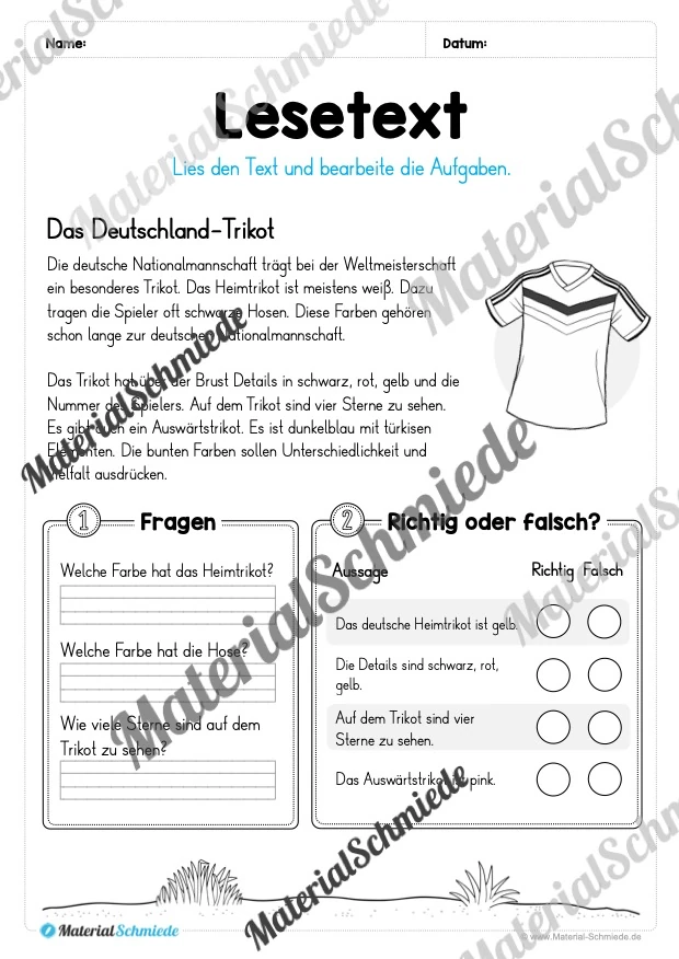 Fußball WM 2026: 10 Lesetexte mit Fragen (2. & 3. Klasse) - Arbeitsblatt 02