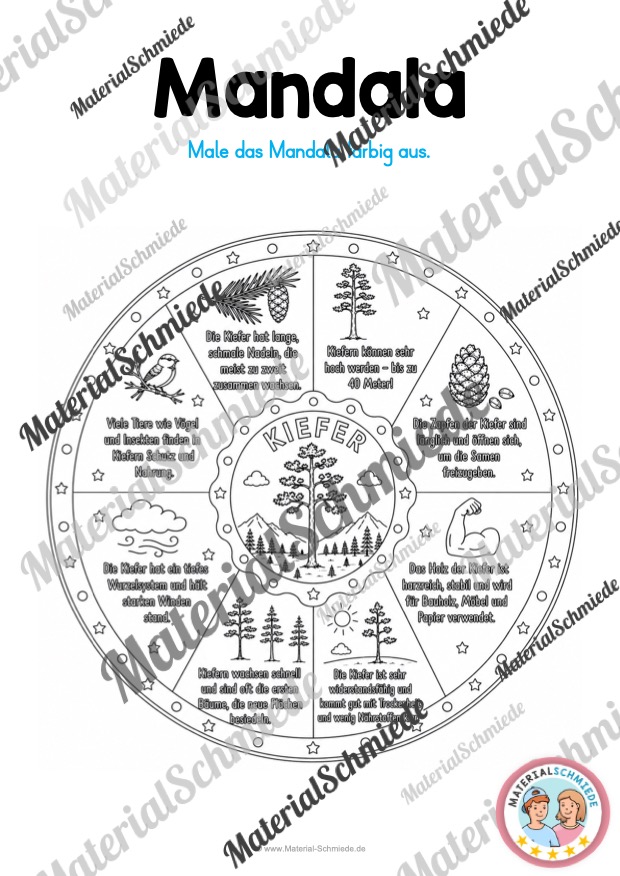12 Mandalas zu Blättern & Bäumen (mit Informationen zum Ausmalen) - Kiefer