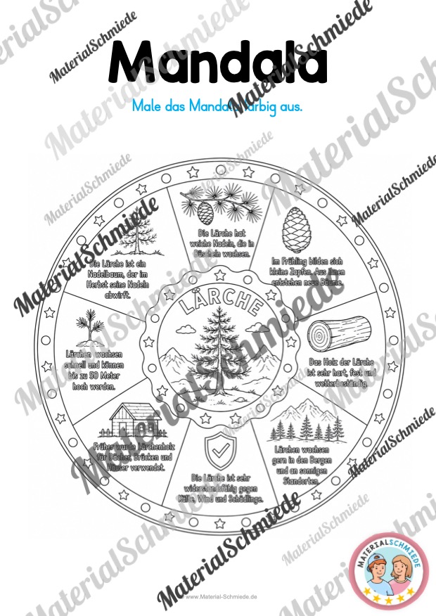 12 Mandalas zu Blättern & Bäumen (mit Informationen zum Ausmalen) - Lärche