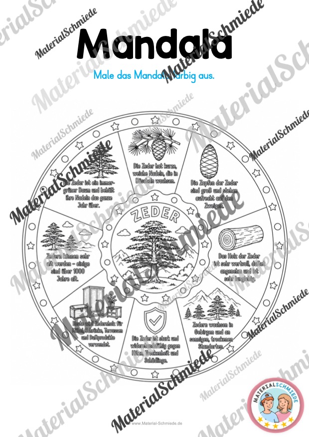 12 Mandalas zu Blättern & Bäumen (mit Informationen zum Ausmalen) - Zeder