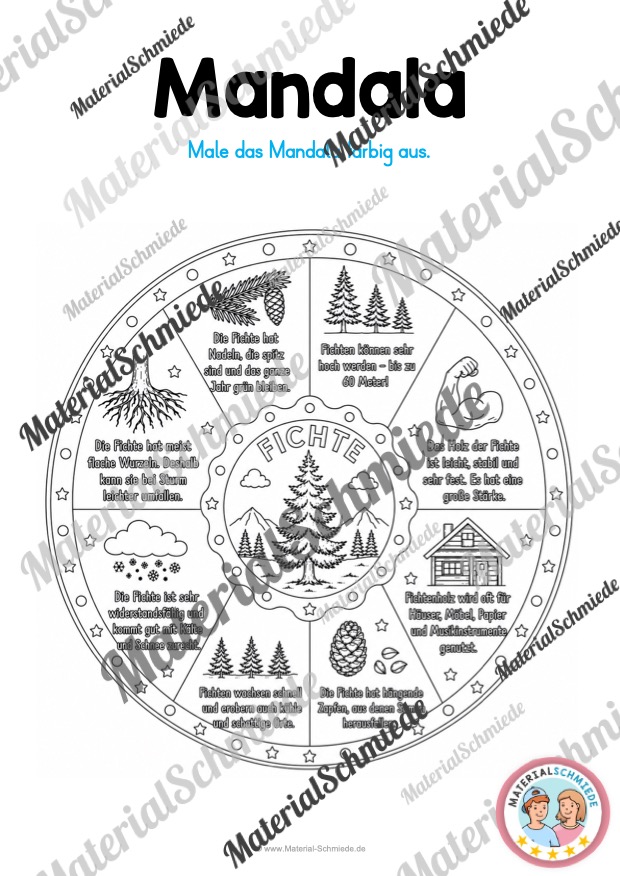 12 Mandalas zu Blättern & Bäumen (mit Informationen zum Ausmalen) - Fichte