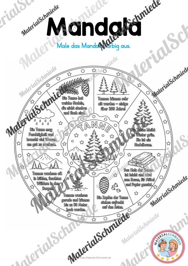 12 Mandalas zu Blättern & Bäumen (mit Informationen zum Ausmalen) - Tanne