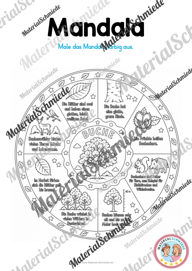 12 Mandalas zu Blättern & Bäumen (mit Informationen zum Ausmalen) - Buche