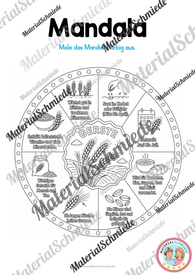 8 Mandalas zum Getreide (zum Ausmalen) - Mandala Gerste