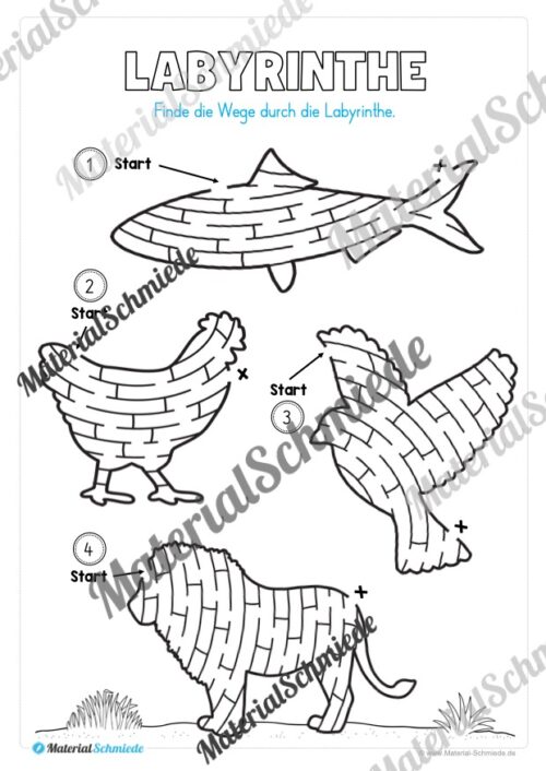 Fit für den Schulstart (Vorschau 08)