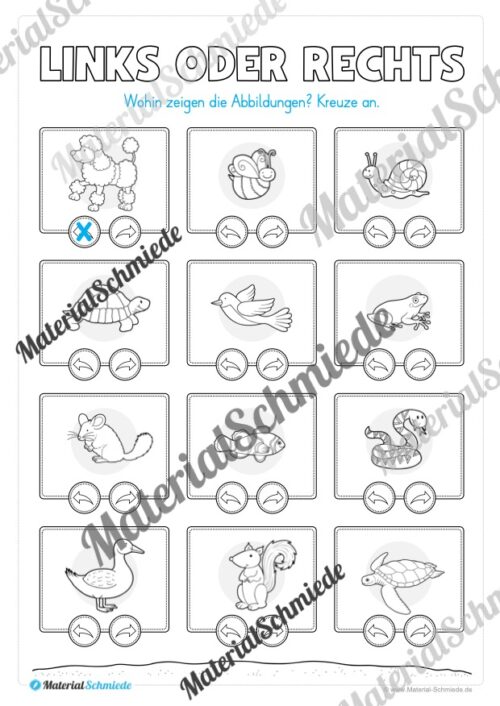 Fit für den Schulstart (Vorschau 18)