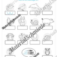 Fit für den Schulstart (Vorschau 26)