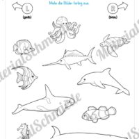 10 Links/Rechts-Übungen für die Vorschule (Vorschau 03)